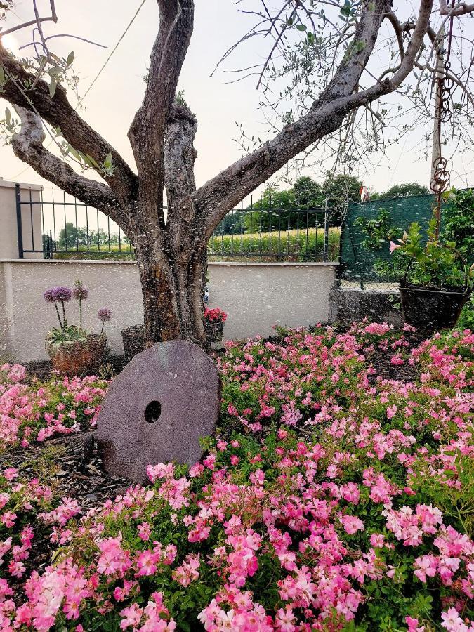 Hotel Casa Autunno Monzambano Esterno foto
